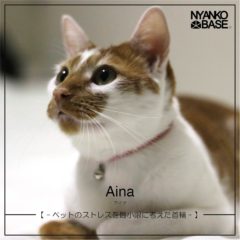 パラコードキャットカラー 『Aina』 【NYANKO BASE】